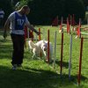 agility verriere 2011-10-01
